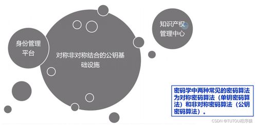 物聯(lián)網(wǎng)安全架構(gòu)、基礎(chǔ)設(shè)施與安全軟件開(kāi)發(fā) 構(gòu)建可信的互聯(lián)世界