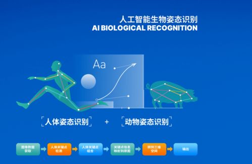 博拉網(wǎng)絡攜多款大數(shù)據(jù)AI應用亮相2021重慶智博會 以技術創(chuàng)新驅(qū)動智慧未來